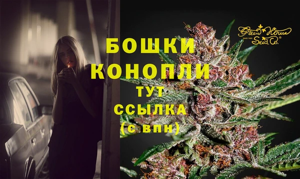 mix Гусиноозёрск