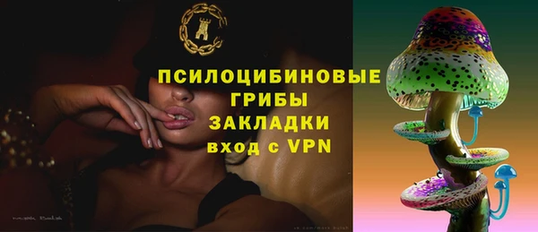 mix Гусиноозёрск