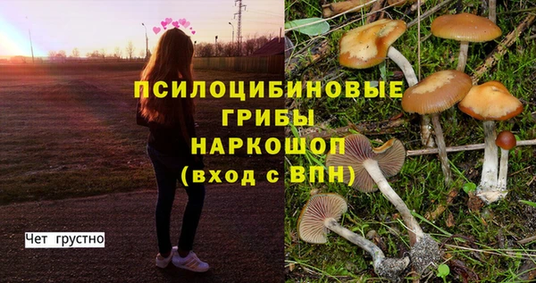 гашиш Гусь-Хрустальный