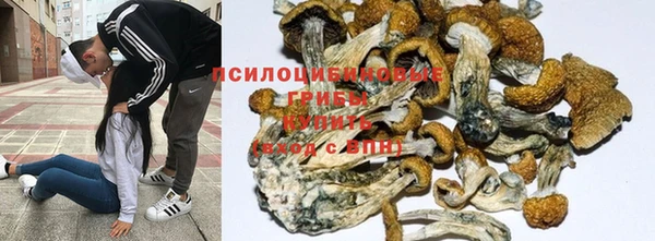 марихуана Гусев