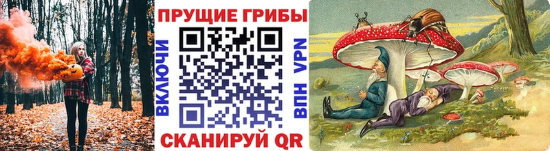 Купить где  Каменка  Галлюциногенные грибы MAGIC MUSHROOMS 